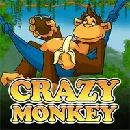 Crazy Monkey game icon